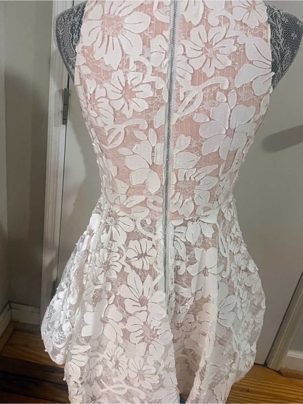 AKIRA Lace Skater Dress in Blush and White - Picture 4 of 7